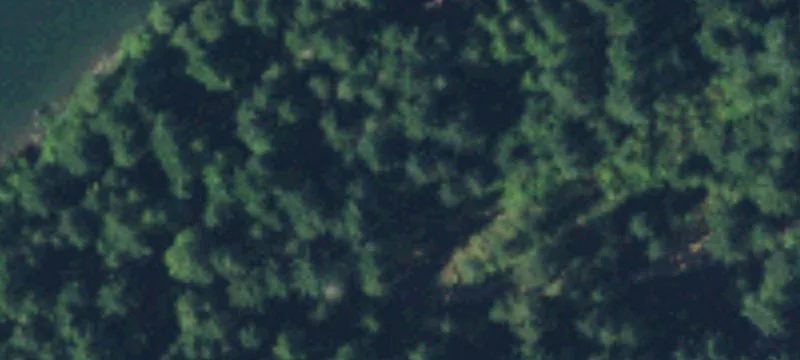 Allyn, WA 98524