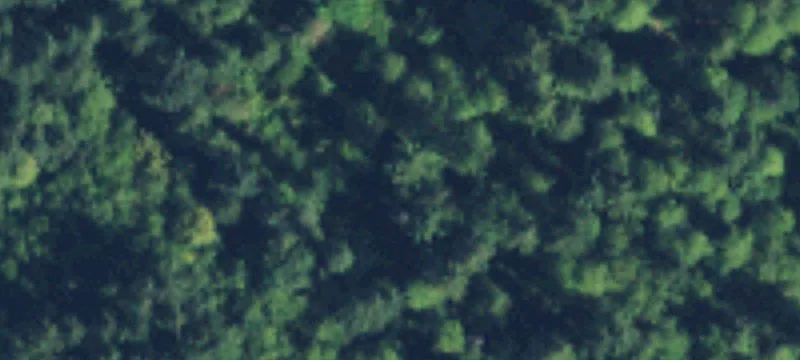 1162 Agate Rd