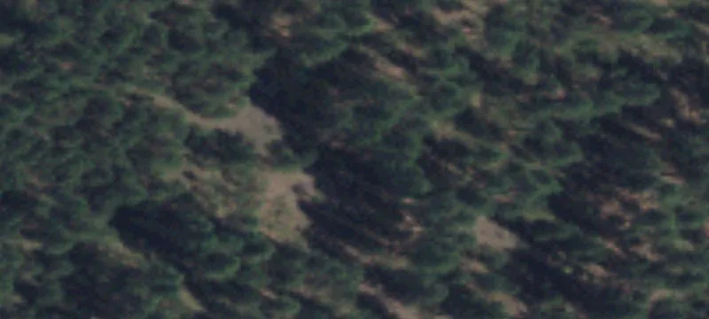 Colbert, WA 99005