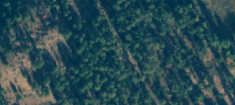 Twisp, WA 98856
