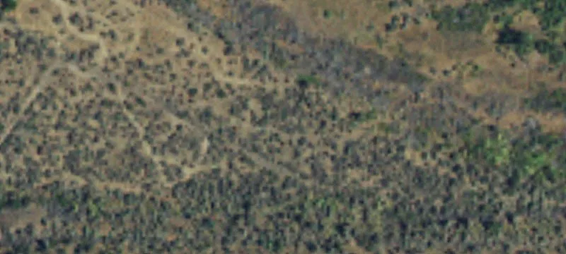 Naches, WA 98937