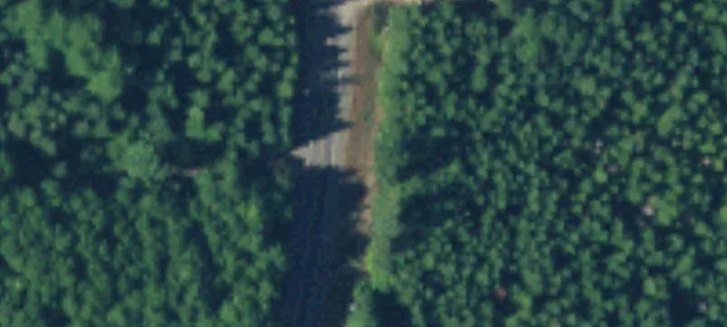 Elma, WA 98541
