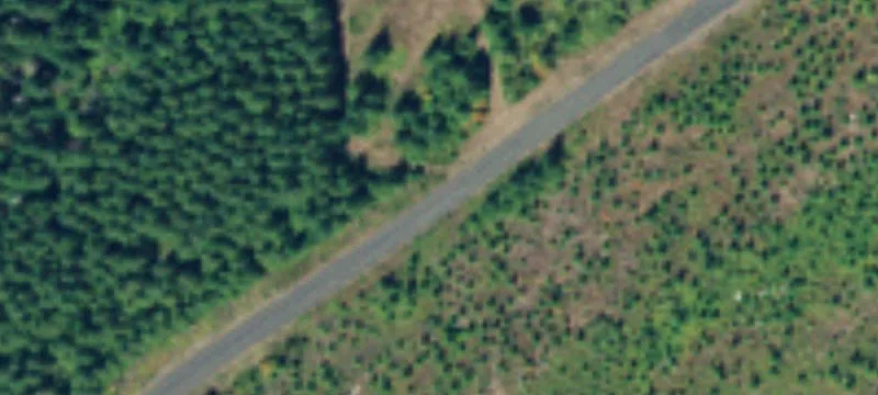 Elma, WA 98541