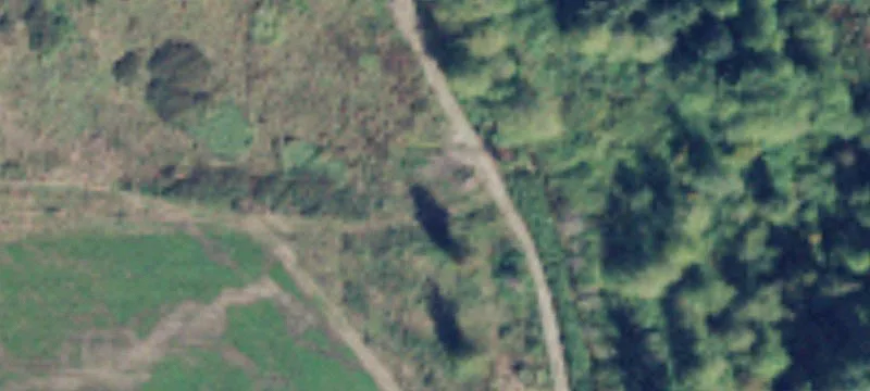 Arlington, WA 98223