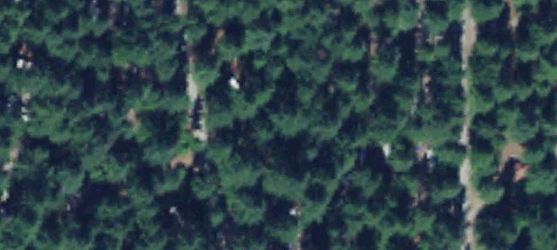 Gold Bar, WA 98251