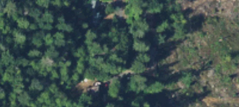 Belfair, WA 98528