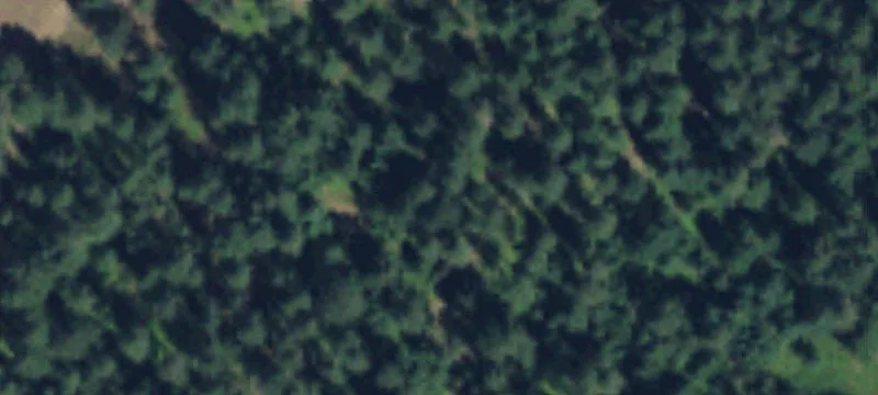 Colville, WA 99114