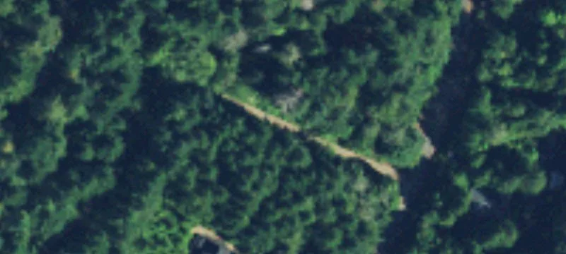 Lilliwaup, WA 98555