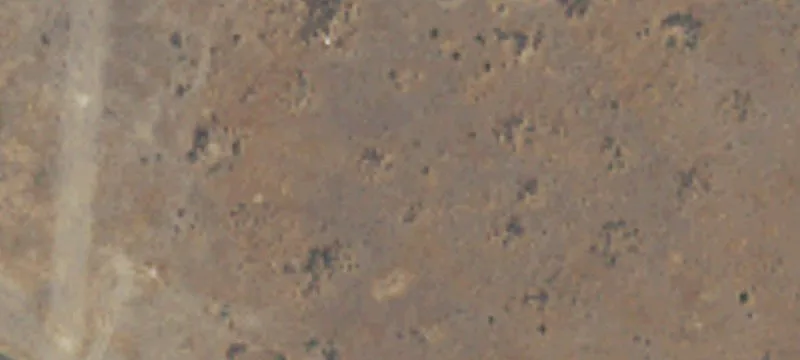 Wilson Creek, WA 98860