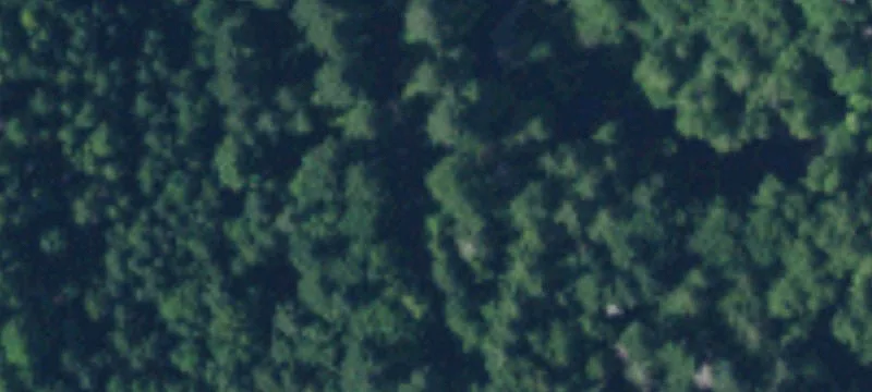 Shelton, WA 98584