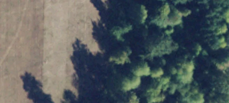 Arlington, WA 98223