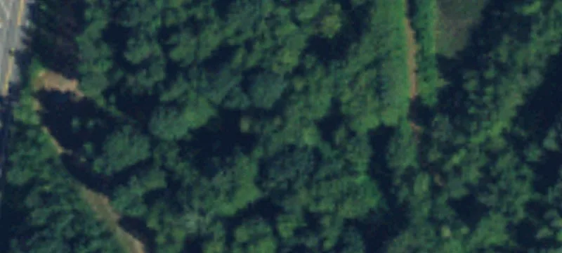 Black Diamond, WA 98010