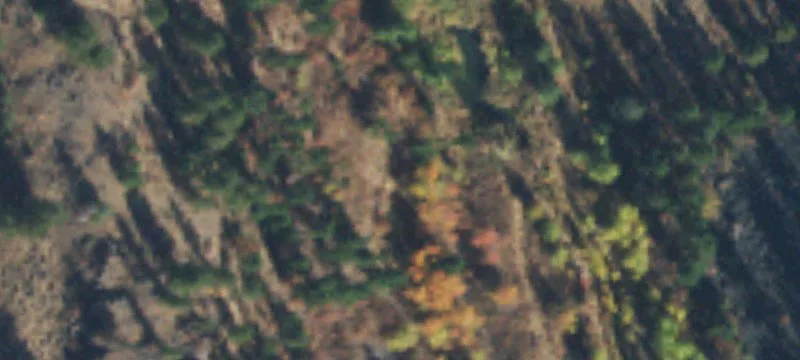 Oroville, WA 98844