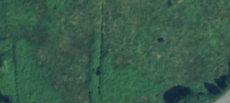 Spanaway, WA 98387