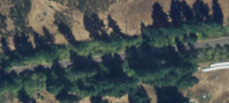 Yelm, WA 98597