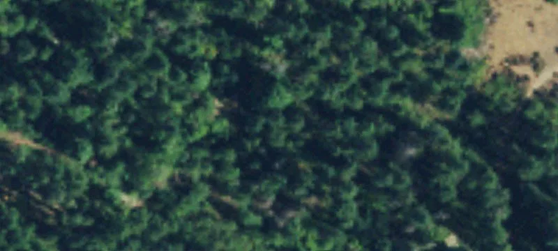 Maple Valley, WA 98038