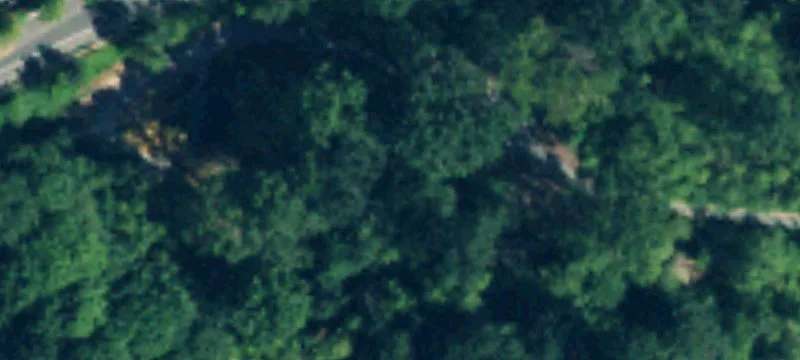 Bellevue, WA 98006