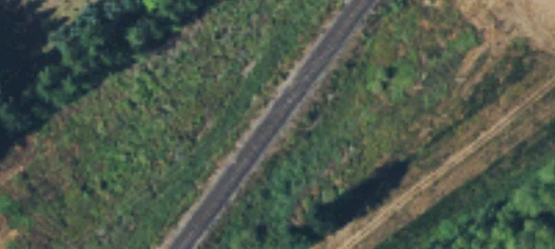 Belfair, WA 98528