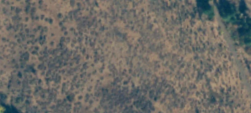 Twisp, WA 98856