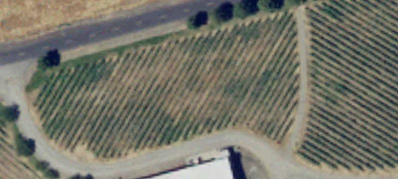 Prosser, WA 99350