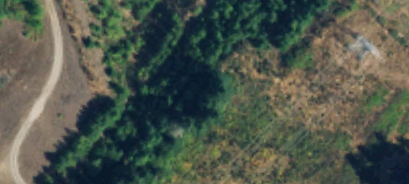 Auburn, WA 98092