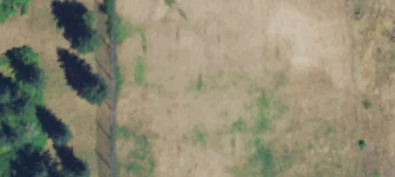 Camas, WA 98607