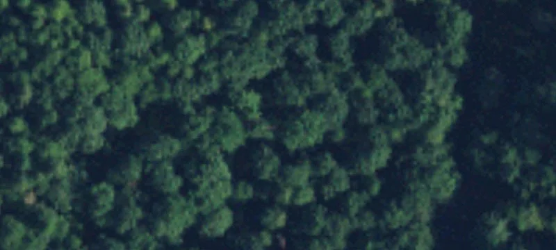 Ravensdale, WA 98051