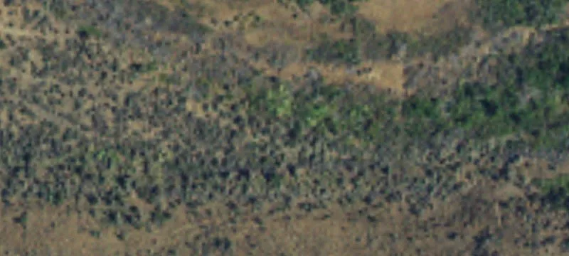 Naches, WA 98937