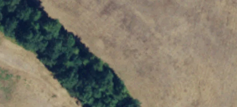 Arlington, WA 98223