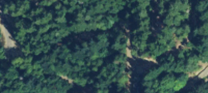 384 Patton Dr
