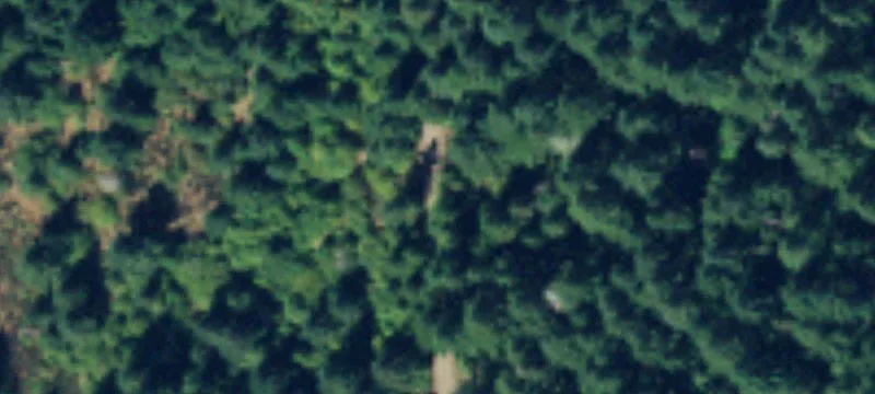 Elma, WA 98541