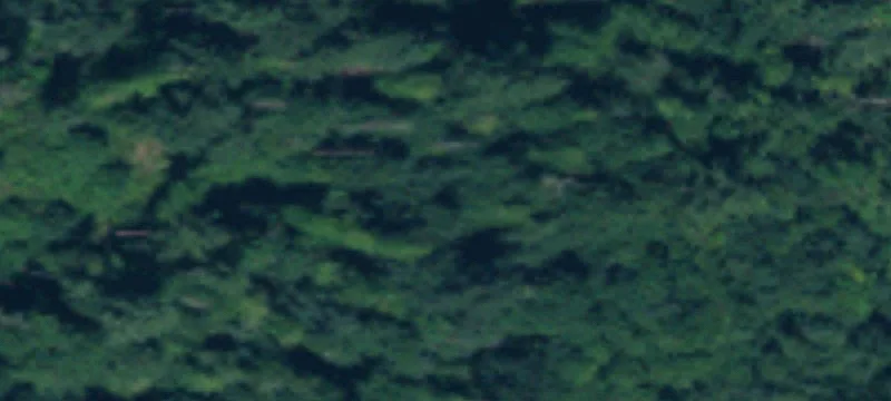 Tenino, WA 98589