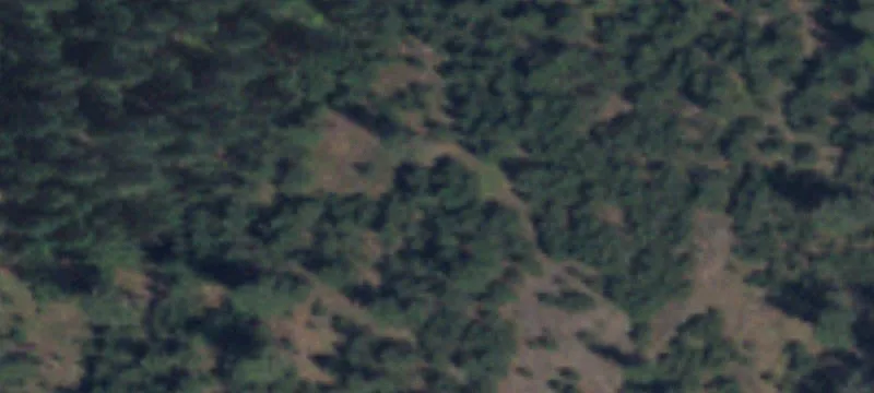 Chattaroy, WA 99003