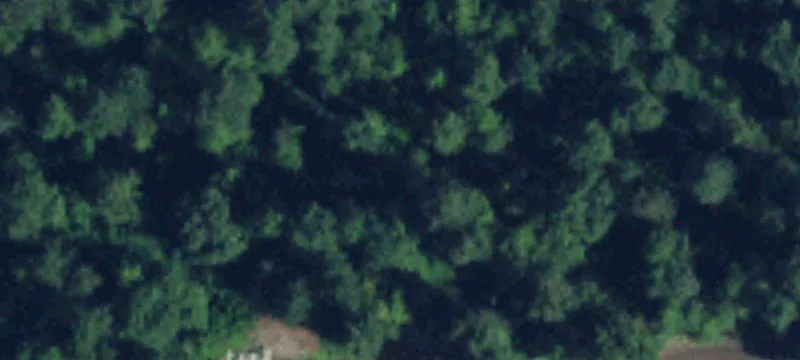 Ravensdale, WA 98051
