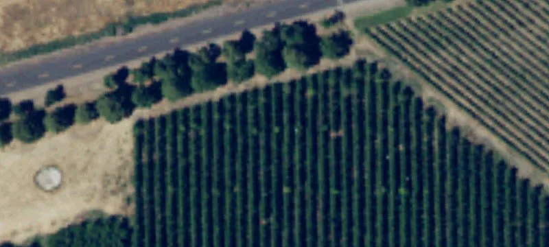 Prosser, WA 99350