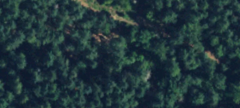 Maple Valley, WA 98038