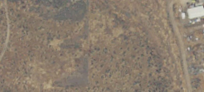 Prosser, WA 99350
