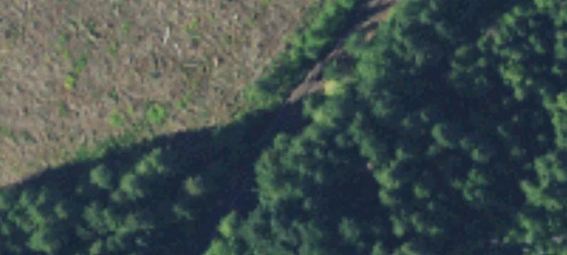 Grapeview, WA 98546