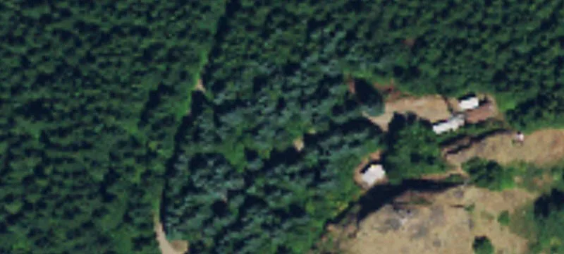 Ariel, WA 98603