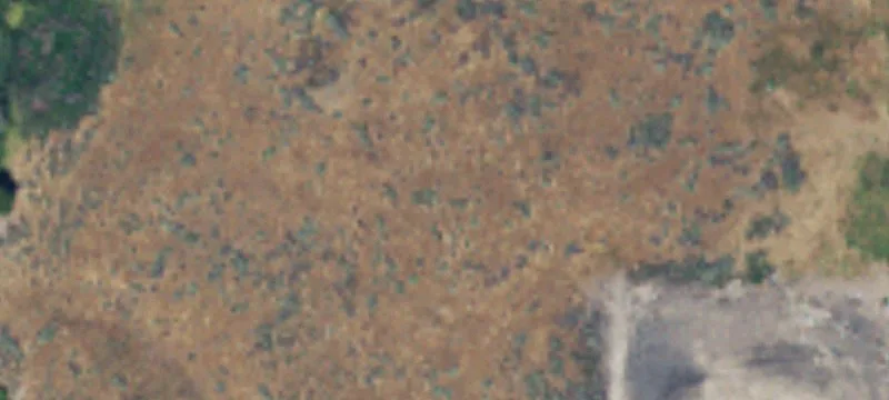 Moses Lake, WA 98837