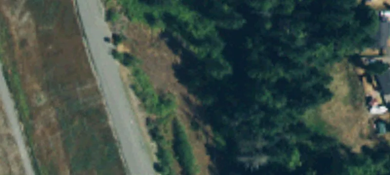 Everett, WA 98203