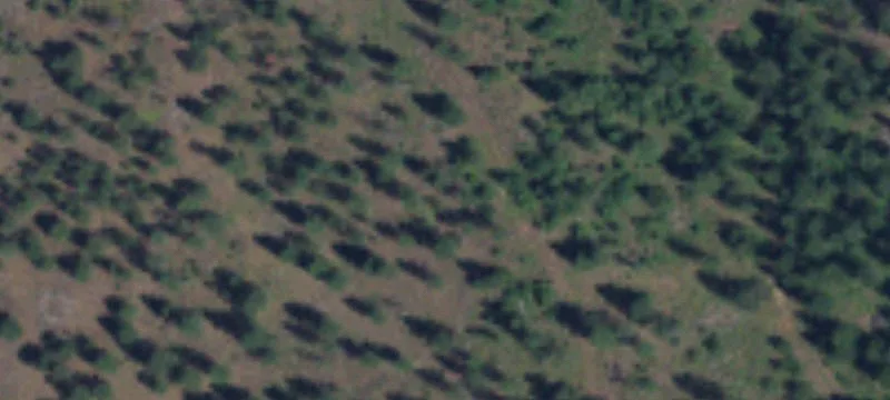 Chattaroy, WA 99003