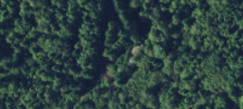 Brinnon, WA 98320