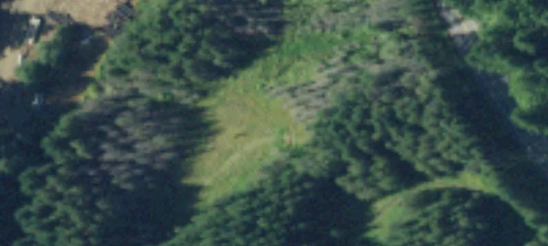 Muller Rd