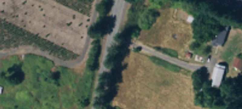 State Rte 505