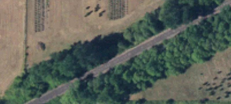 Twin Oaks Rd