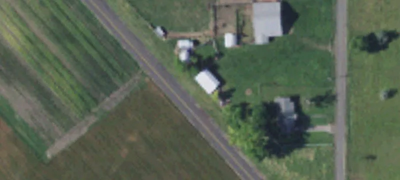 Beet Rd