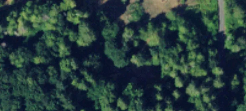 19608 Whiteman Cv SW Rd