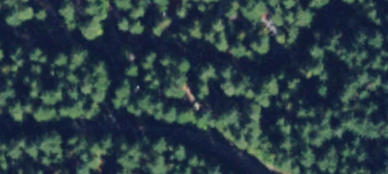 Wilderness Way
