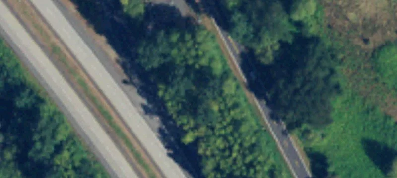Yew Ave